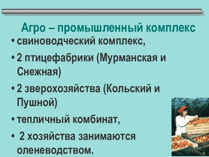 Агро – промышленный комплекс свиноводческий комплекс, 2 птицефабрики (Мурманская и Снежная)