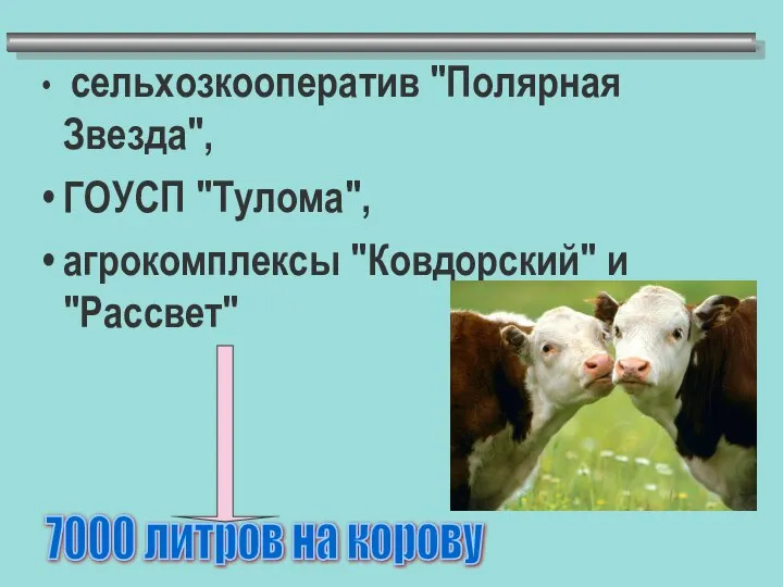 сельхозкооператив "Полярная Звезда", ГОУСП "Тулома", агрокомплексы "Ковдорский" и "Рассвет" 7000 литров на корову