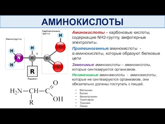 АМИНОКИСЛОТЫ Аминокислоты – карбоновые кислоты, содержащие NН2-группу, амфотерные электролиты. Протеиногенные аминокислоты