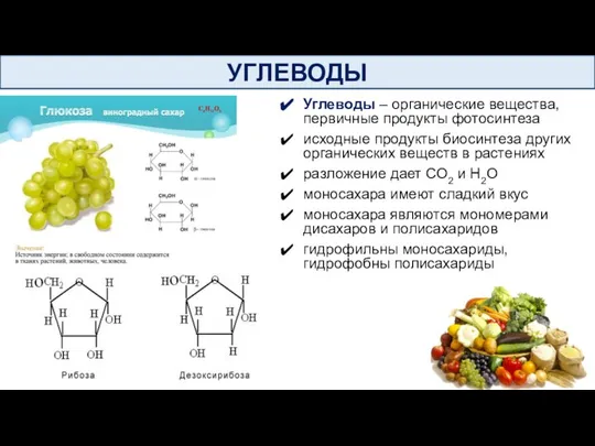 УГЛЕВОДЫ Углеводы – органические вещества, первичные продукты фотосинтеза исходные продукты биосинтеза