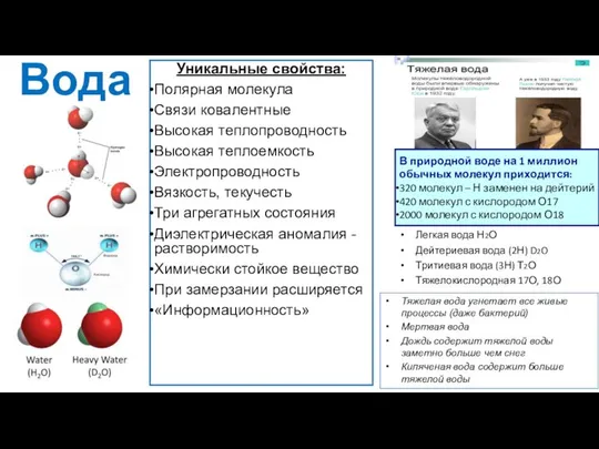 Вода Уникальные свойства: Полярная молекула Связи ковалентные Высокая теплопроводность Высокая теплоемкость