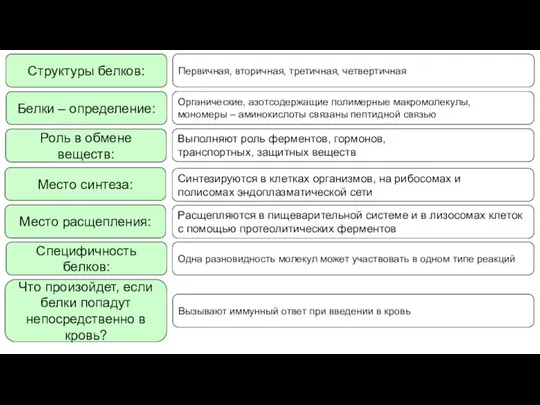 Структуры белков: Органические, азотсодержащие полимерные макромолекулы, мономеры – аминокислоты связаны пептидной