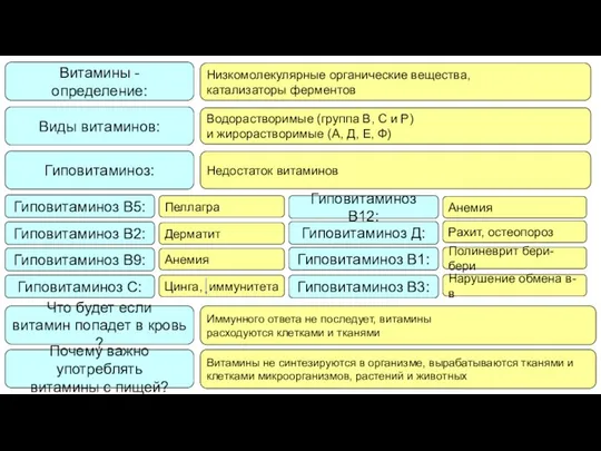 Витамины - определение: Низкомолекулярные органические вещества, катализаторы ферментов Витамины не синтезируются