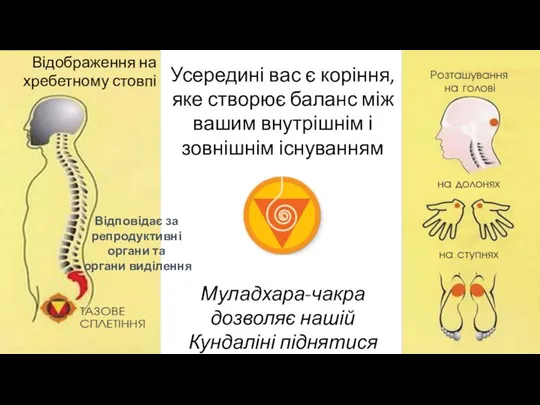 Усередині вас є коріння, яке створює баланс між вашим внутрішнім і