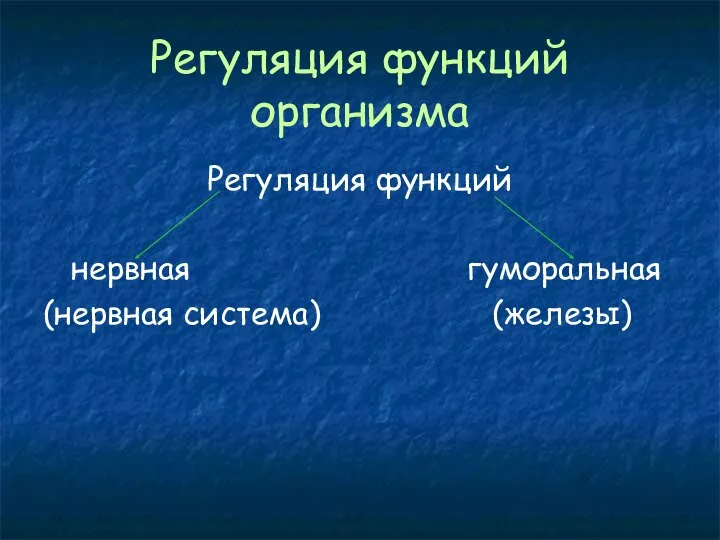 Регуляция функций организма Регуляция функций нервная гуморальная (нервная система) (железы)