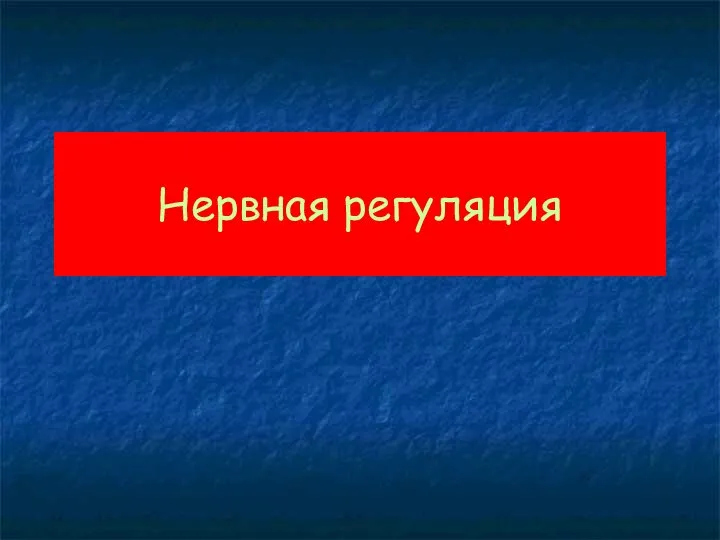 Нервная регуляция