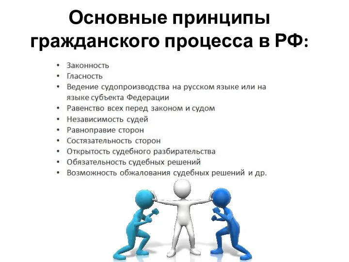 Основные принципы гражданского процесса в РФ: