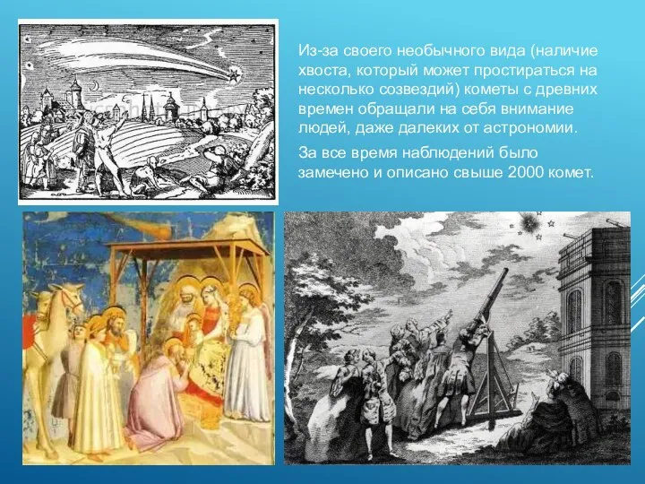 Из-за своего необычного вида (наличие хвоста, который может простираться на несколько