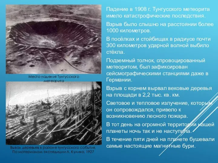 Вывал деревьев в районе тунгусского события. По материалам экспедиции Л. Кулика,