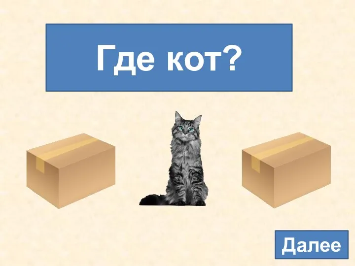 Далее Где кот?