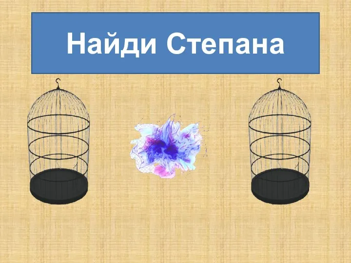 Найди Степана