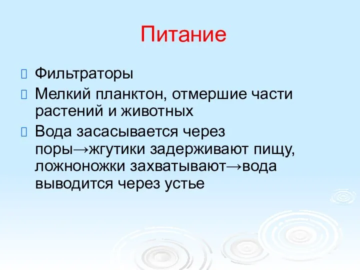 Питание Фильтраторы Мелкий планктон, отмершие части растений и животных Вода засасывается