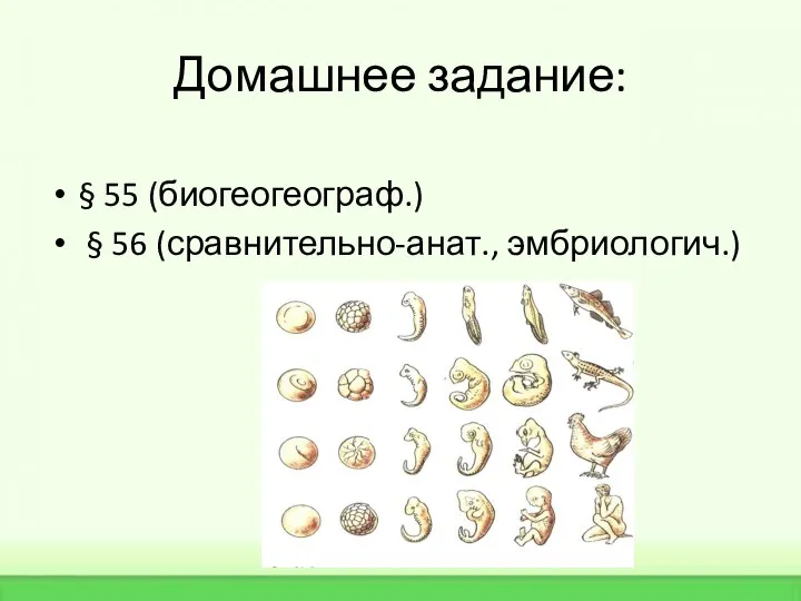 Домашнее задание: § 55 (биогеогеограф.) § 56 (сравнительно-анат., эмбриологич.)