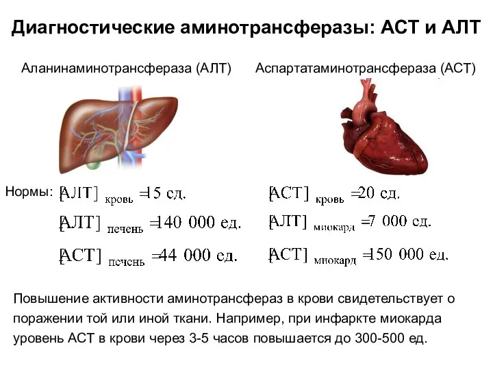 Диагностические аминотрансферазы: АСТ и АЛТ Аланинаминотрансфераза (АЛТ) Аспартатаминотрансфераза (АСТ) Нормы: Повышение