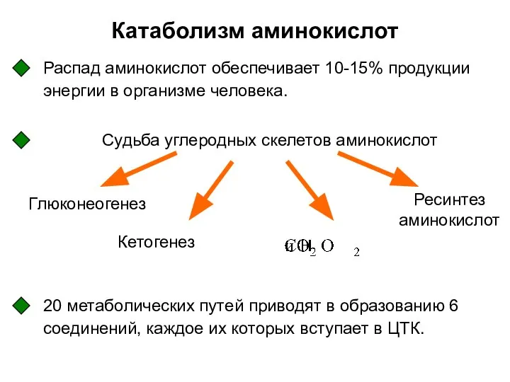 Катаболизм аминокислот Распад аминокислот обеспечивает 10-15% продукции энергии в организме человека.