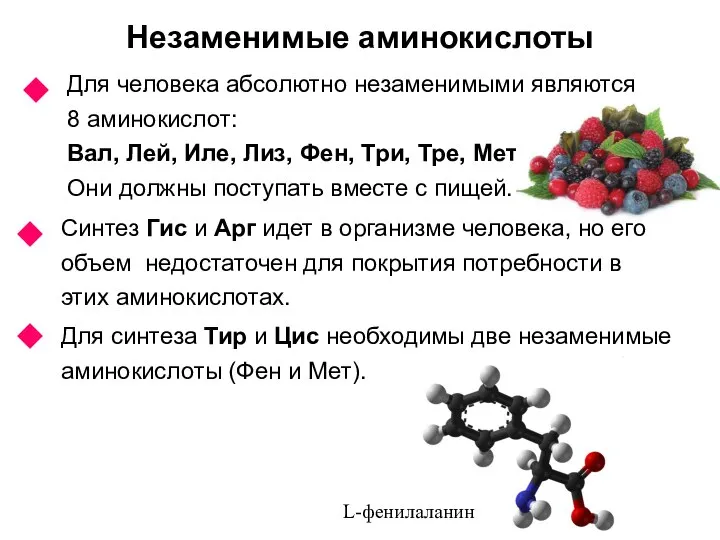 Незаменимые аминокислоты Для человека абсолютно незаменимыми являются 8 аминокислот: Вал, Лей,