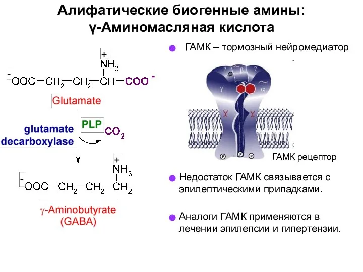 Алифатические биогенные амины: γ-Аминомасляная кислота ГАМК – тормозный нейромедиатор ГАМК рецептор