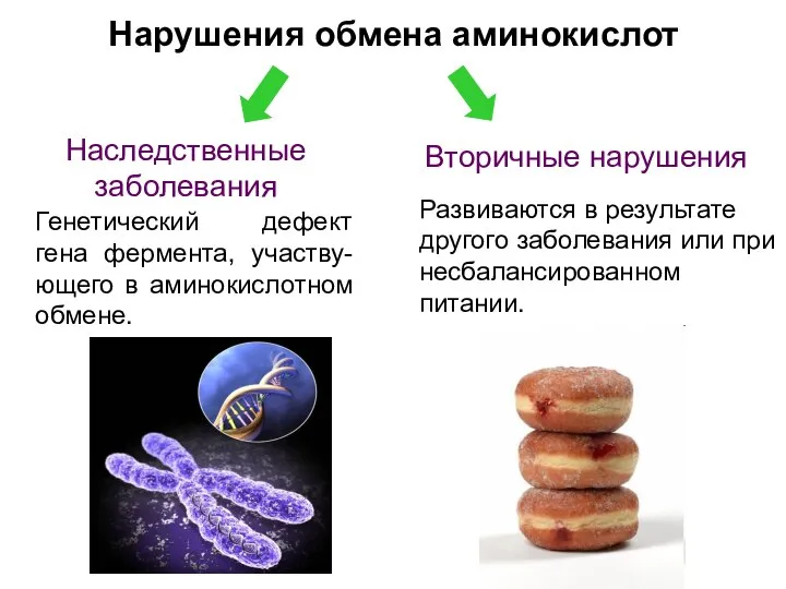 Нарушения обмена аминокислот Наследственные заболевания Вторичные нарушения Генетический дефект гена фермента,