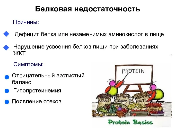 Белковая недостаточность Причины: Дефицит белка или незаменимых аминокислот в пище Нарушение