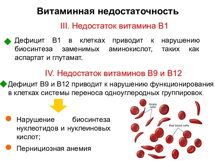 Витаминная недостаточность III. Недостаток витамина B1 Дефицит B1 в клетках приводит