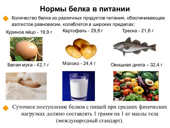 Нормы белка в питании Количество белка из различных продуктов питания, обеспечивающее