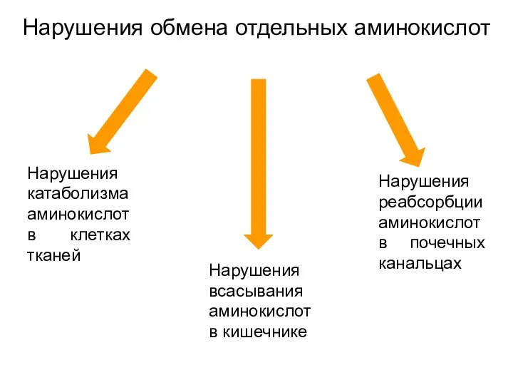 Нарушения катаболизма аминокислот в клетках тканей Нарушения обмена отдельных аминокислот Нарушения