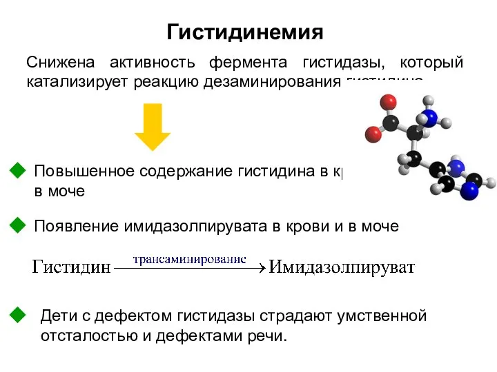 Гистидинемия Снижена активность фермента гистидазы, который катализирует реакцию дезаминирования гистидина .