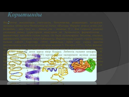 Қорытынды: Ферменттер жасушаларда синтезделіп, биохимиялық реакцияларға қа­тысатын ақуыздық табиғаттағы биокатализатор болып