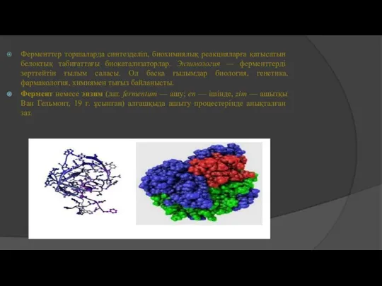 Ферменттер торшаларда синтезделіп, биохимиялық реакцияларға қа­тысатын белоктық табиғаттағы биокатализаторлар. Энзимология —