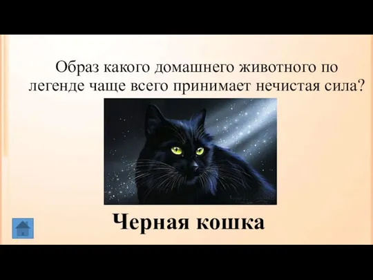 Образ какого домашнего животного по легенде чаще всего принимает нечистая сила? Черная кошка