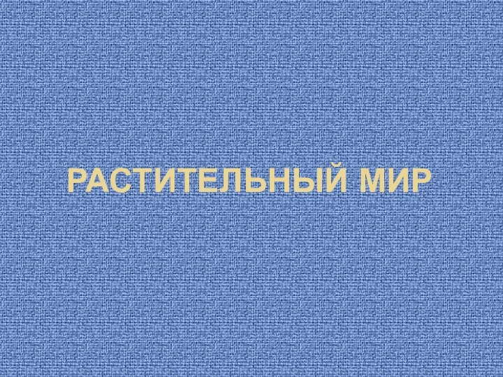 РАСТИТЕЛЬНЫЙ МИР