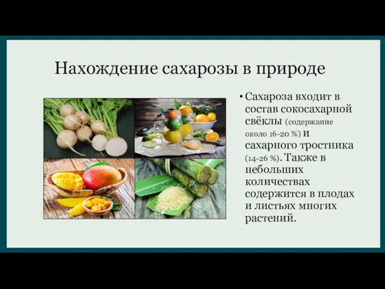 Нахождение сахарозы в природе Сахароза входит в состав сокосахарной свёклы (содержание