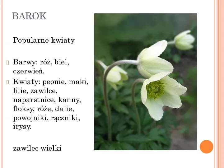 BAROK Popularne kwiaty Barwy: róż, biel, czerwień. Kwiaty: peonie, maki, lilie,