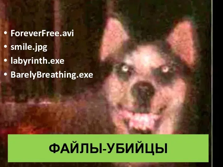 ФАЙЛЫ-УБИЙЦЫ ForeverFree.avi smile.jpg labyrinth.exe BarelyBreathing.exe