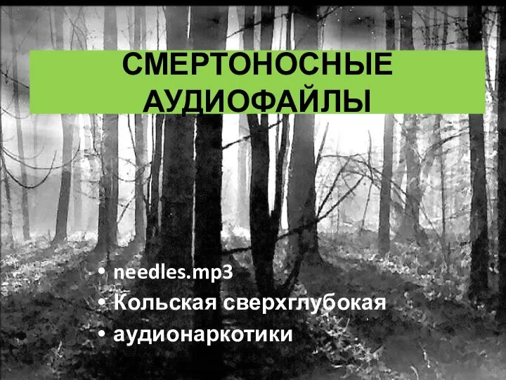 СМЕРТОНОСНЫЕ АУДИОФАЙЛЫ needles.mp3 Кольская сверхглубокая аудионаркотики