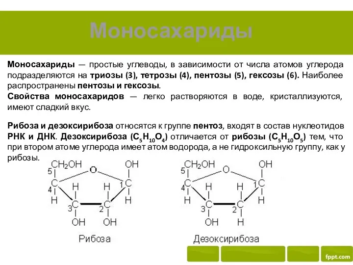 Моносахариды Моносахариды — простые углеводы, в зависимости от числа атомов углерода