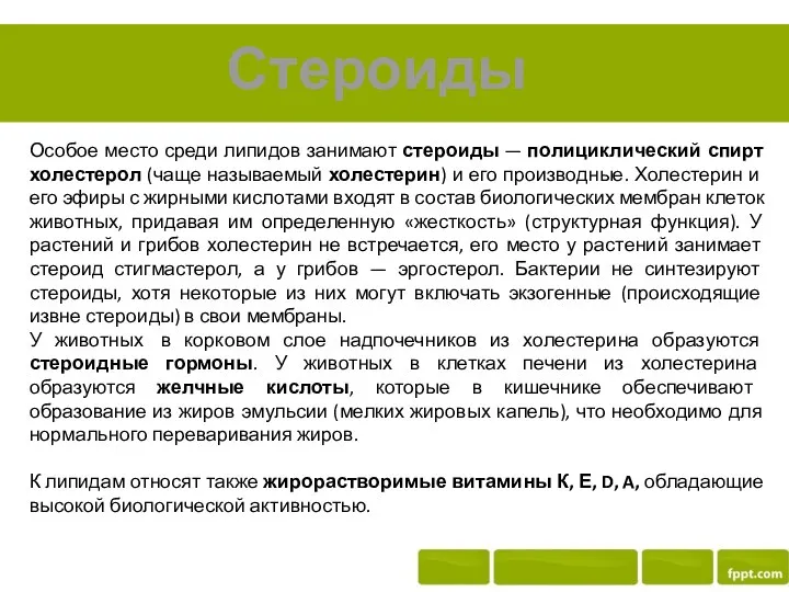 Стероиды Особое место среди липидов занимают стероиды — полициклический спирт холестерол