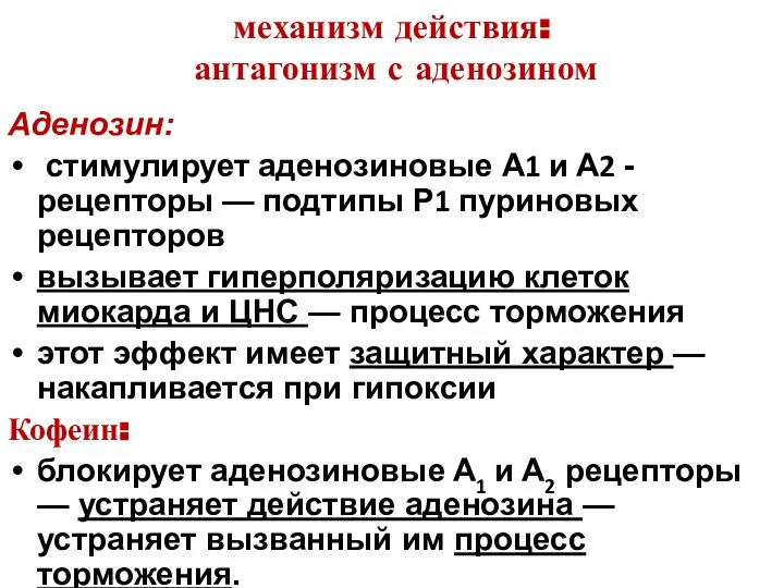 механизм действия: антагонизм с аденозином Аденозин: стимулирует аденозиновые А1 и А2