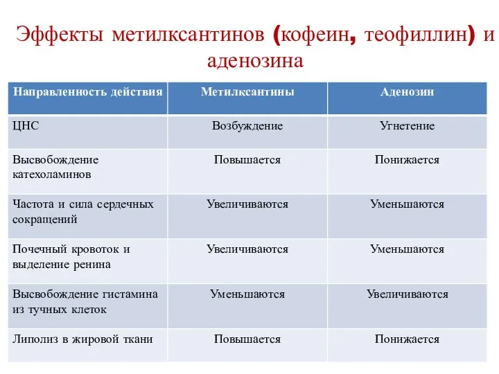 Эффекты метилксантинов (кофеин, теофиллин) и аденозина