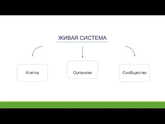 ЖИВАЯ СИСТЕМА Клетка Организм Сообщество