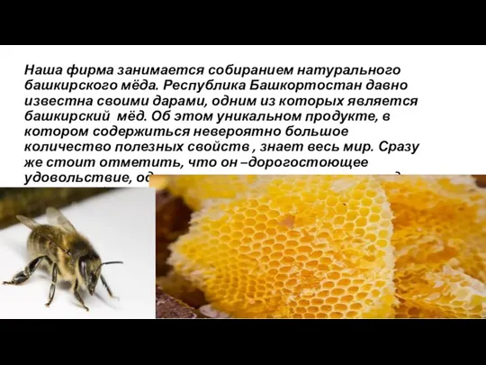 Наша фирма занимается собиранием натурального башкирского мёда. Республика Башкортостан давно известна