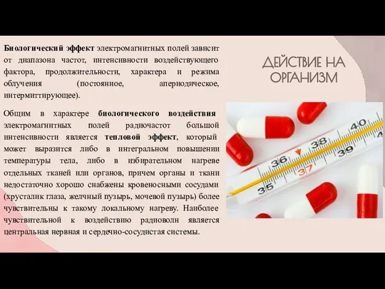 ДЕЙСТВИЕ НА ОРГАНИЗМ Биологический эффект электромагнитных полей зависит от диапазона частот,