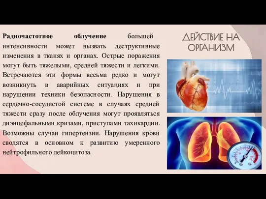 ДЕЙСТВИЕ НА ОРГАНИЗМ Радиочастотное облучение большей интенсивности может вызвать деструктивные изменения