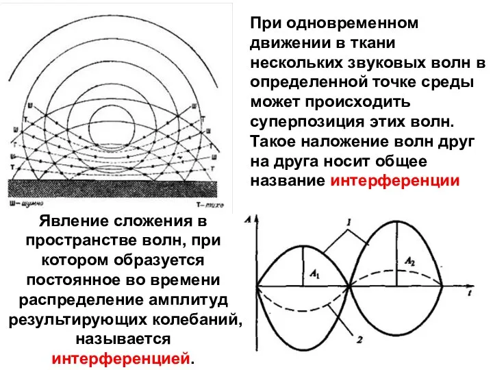 Явление сложения в пространстве волн, при котором образуется постоянное во времени