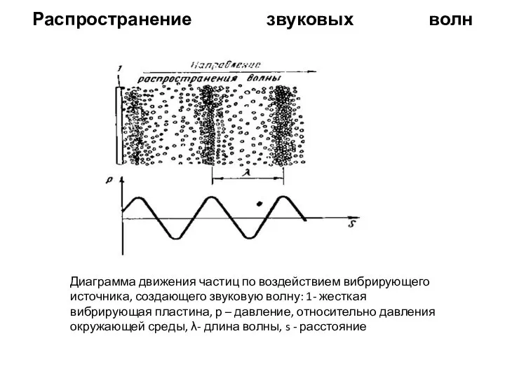 Распространение звуковых волн Диаграмма движения частиц по воздействием вибрирующего источника, создающего