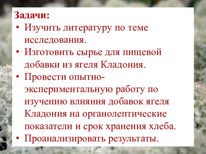 Задачи: Изучить литературу по теме исследования. Изготовить сырье для пищевой добавки