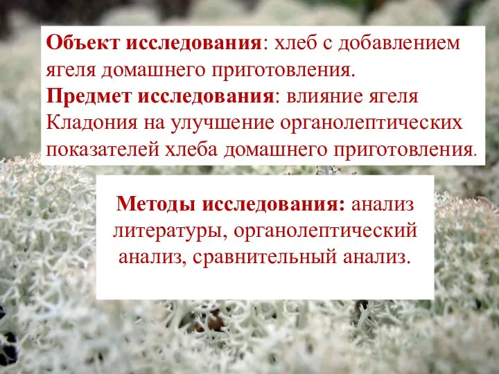 Объект исследования: хлеб с добавлением ягеля домашнего приготовления. Предмет исследования: влияние