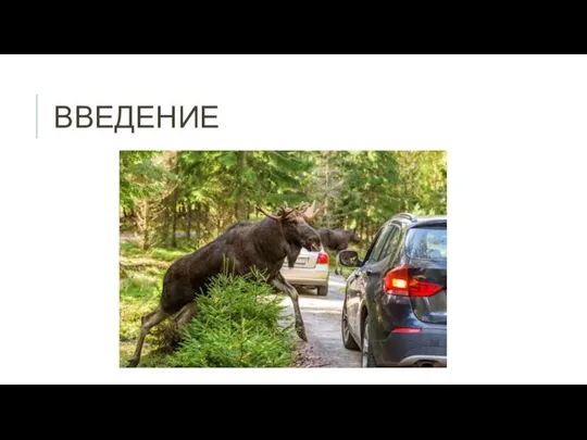 ВВЕДЕНИЕ