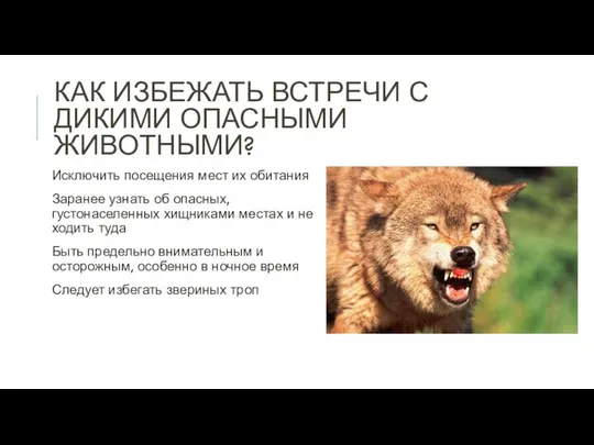 КАК ИЗБЕЖАТЬ ВСТРЕЧИ С ДИКИМИ ОПАСНЫМИ ЖИВОТНЫМИ? Исключить посещения мест их