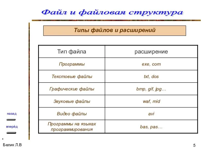 Типы файлов и расширений Белик Л.В *